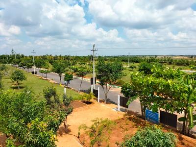 Project Image of 1323.0 - 3600.0 Sq.ft Residential Plot Plot for buy in True The Orchard