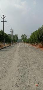 Project Image of 809.98 - 2600.02 Sq.ft Residential Plot Plot for buy in Siri Venkateswara Nandanavanam Prasiddha