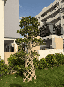 Project Image of 1100.0 - 1740.0 Sq.ft 2 BHK Apartment for buy in Sanjana Padmavathi Pride