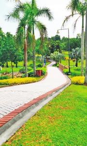 Project Image of 3173.0 - 3407.0 Sq.ft 4 BHK Villa for buy in Jain San Lucas