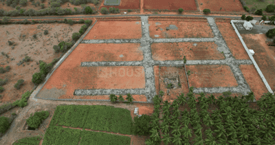 Project Images