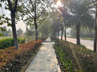 Project Image of 1746.0 - 9000.0 Sq.ft Residential Plot Plot for buy in Pintail Park City
