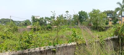 Project Image of 1440.0 - 6840.0 Sq.ft Residential Plot Plot for buy in Saha Pailan Housing Society