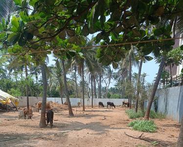 Project Image of 8400.0 - 10800.0 Sq.ft Residential Plot Plot for buy in Catalyst Bay Roost
