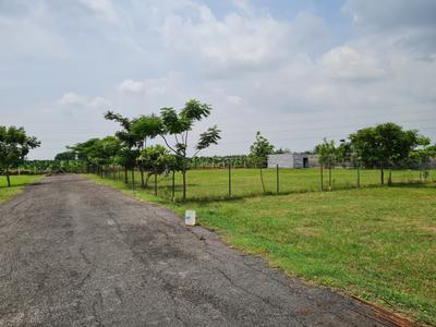 Project Image of 588.0 - 3164.0 Sq.ft Residential Plot Plot for buy in Amaaya Hill View Enclave