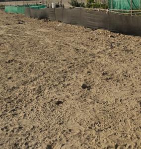 Project Image of 1290.59 - 2761.59 Sq.ft Residential Plot Plot for buy in JKM Ashoka Greens Plots