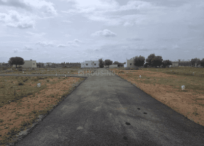 Project Images
