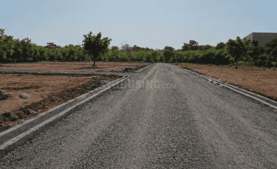 Project Images