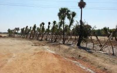 Project Image of 1500.0 - 7459.0 Sq.ft Residential Plot Plot for buy in Sparkle Inara