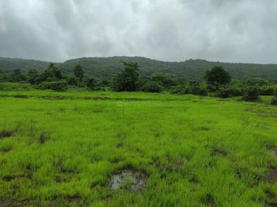 Trivikram Infra Plot In Chirle Mahamumbai Plot 1