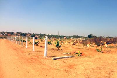 Project Image of 1200.0 - 3000.0 Sq.ft Residential Plot Plot for buy in Blue Smilee Views