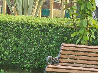 Project Image of 7500.0 - 10000.0 Sq.ft Residential Plot Plot for buy in Swaraj The Villagio