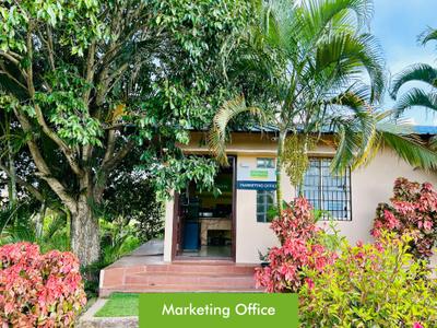 Project Image of 1500.0 - 2400.0 Sq.ft Residential Plot Plot for buy in Sai Srushti Sangamam