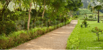 Project Image of 0.0 - 705.0 Sq.ft 2 BHK Apartment for buy in Hiranandani Senina