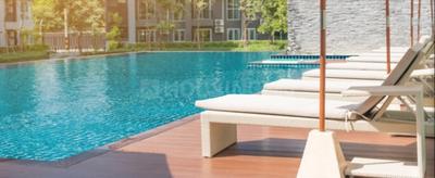 Project Image of 503.0 - 1314.0 Sq.ft 2 BHK Apartment for buy in Kalpataru Sector 5 Wing G and H