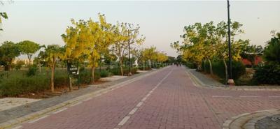 Project Image of 1410.0 - 7400.0 Sq.ft Residential Plot Plot for buy in Raheja Aranya City