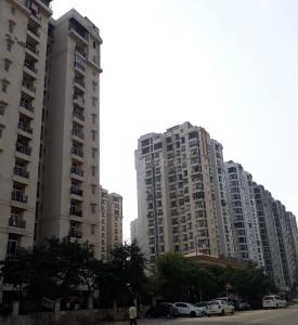 Project Image of 675.0 - 1540.0 Sq.ft 1 BHK Apartment for buy in Amrapali Princely Estate