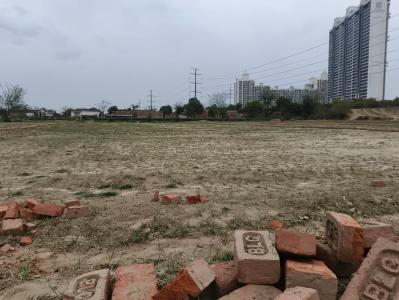 Project Image of 900.0 - 2250.0 Sq.ft Residential Plot Plot for buy in Dream Shyam City