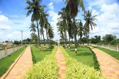 Project Image of 1503.0 - 3600.0 Sq.ft Residential Plot Plot for buy in Peram Aditya Aishwarya