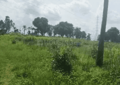 Project Image of 1421.7 - 4684.13 Sq.ft Residential Plot Plot for buy in Fortius Good Earth