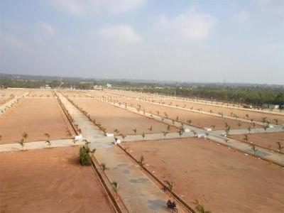 Project Image of 1503.0 - 4500.0 Sq.ft Residential Plot Plot for buy in Peram Aditya Ankura