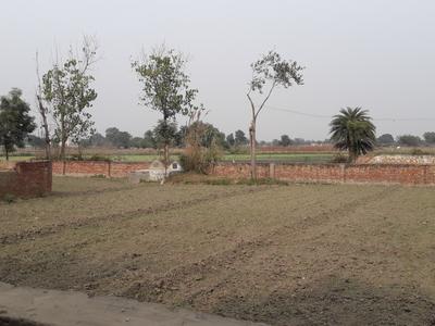 Project Image of 450.0 - 2916.0 Sq.ft Residential Plot Plot for buy in SS Shri Ram Vatika
