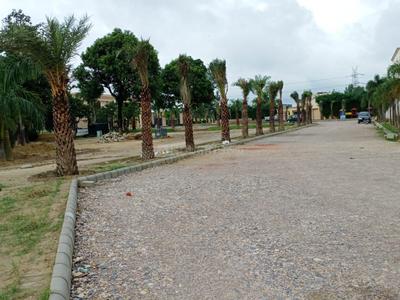 Project Image of 1250.0 - 1903.0 Sq.ft Residential Plot Plot for buy in Sapphire Royale