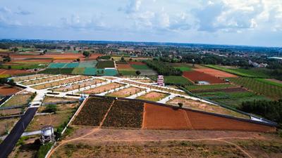 Project Image of 1300.0 - 12916.69 Sq.ft Residential Plot Plot for buy in Annciya Isha Serene