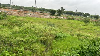 Project Image of 1530.0 - 3600.0 Sq.ft Residential Plot Plot for buy in Myspace Amazon Life
