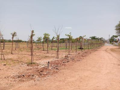 Project Image of 1089.0 - 4590.0 Sq.ft Residential Plot Plot for buy in Sunrise Nature Farms