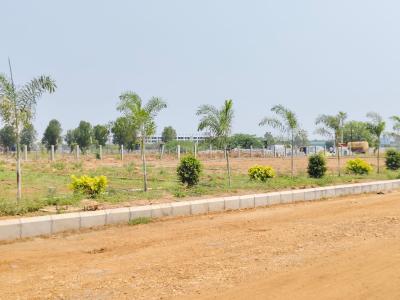 Project Image of 1503.0 - 4050.0 Sq.ft Residential Plot Plot for buy in Green County