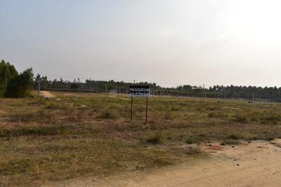 Project Image of 2250.0 - 5500.0 Sq.ft Residential Plot Plot for buy in Nesara Garden County Farms