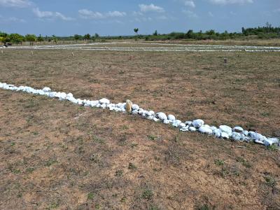 Project Image of 600.0 - 1459.0 Sq.ft Residential Plot Plot for buy in Superr Vigneshwarar Nagar