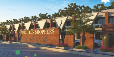 Project Image of 660.0 - 1100.0 Sq.ft 1 BHK Villa for buy in Nebullus Marigold