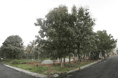 Project Image of 3000.0 - 4000.0 Sq.ft 4 BHK Villa for buy in NS Infocity