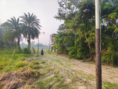 Project Image of 720.0 - 2160.0 Sq.ft Residential Plot Plot for buy in Royal Garden