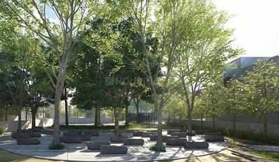 August Silver Moon Landscape Garden and Tree Planting 1