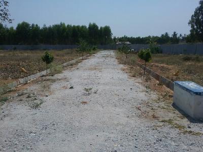 Project Image of 0.0 - 1200.0 Sq.ft Residential Plot Plot for buy in SS Residency