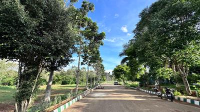 Project Image of 2400.0 - 4658.0 Sq.ft Residential Plot Plot for buy in Fortune Hestia