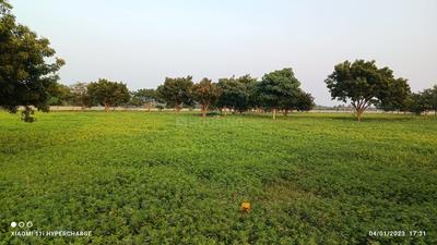 Project Image of 1250.0 - 5056.0 Sq.ft Residential Plot Plot for buy in JK Sendhur Nagar