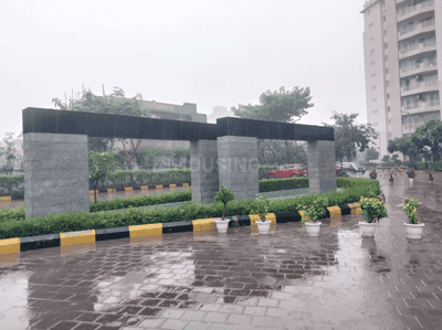 Project Image of 1310.0 - 5092.0 Sq.ft 2 BHK Apartment for buy in TARC Maceo