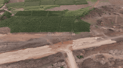 Project Image of 1467.0 - 3600.0 Sq.ft Residential Plot Plot for buy in Shreya Ananta
