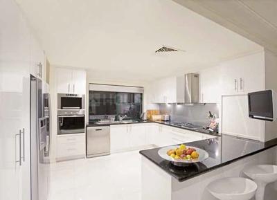 Project Image of 1076.0 - 1700.27 Sq.ft 3 BHK Apartment for buy in Kalpataru Immensa H