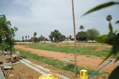 Project Image of 1350.0 - 1503.0 Sq.ft Residential Plot Plot for buy in Surakshaa Mukunda Greens