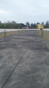 Project Image of 802.0 - 2400.0 Sq.ft Residential Plot Plot for buy in Dhaveedu Avenue