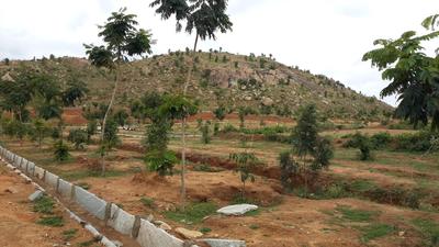 Project Image of 1200.0 - 6000.0 Sq.ft Residential Plot Plot for buy in Zain Galaxy