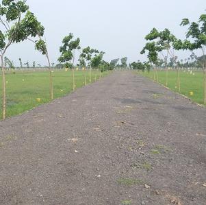 Project Image of 645.0 - 2357.0 Sq.ft Residential Plot Plot for buy in Ashok Metrovaram