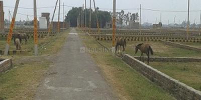 Project Image of 1000.0 - 2700.0 Sq.ft Residential Plot Plot for buy in Surya Vihar Phase IV