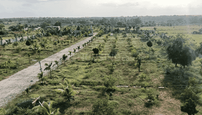 Project Image of 0.0 - 6000.0 Sq.ft Residential Plot Plot for buy in Aril Garden