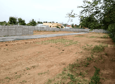 Project Images
